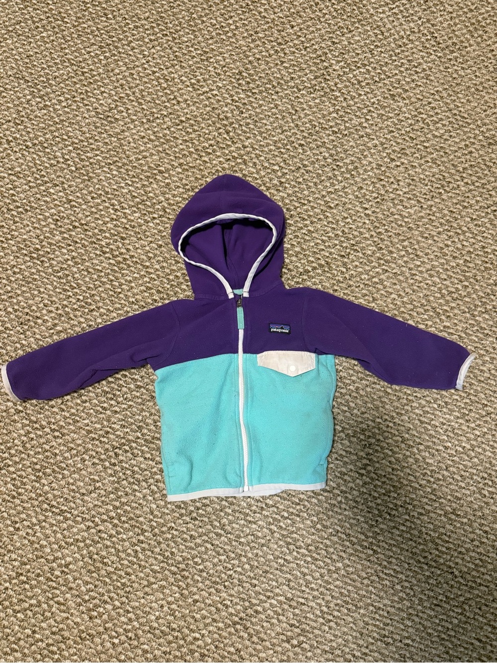 Patagonia Kids Hooded Fleece Jacket in Purple & Teal